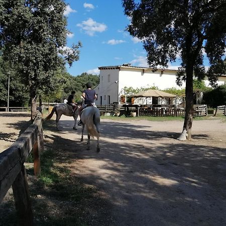 Casa Rural, Can Cirera Seriñá Exteriör bild