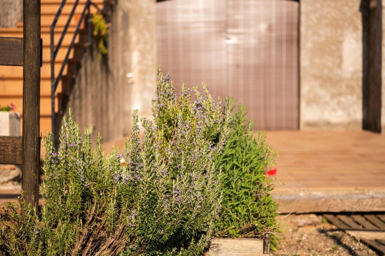 Casa Rural, Can Cirera Seriñá Exteriör bild