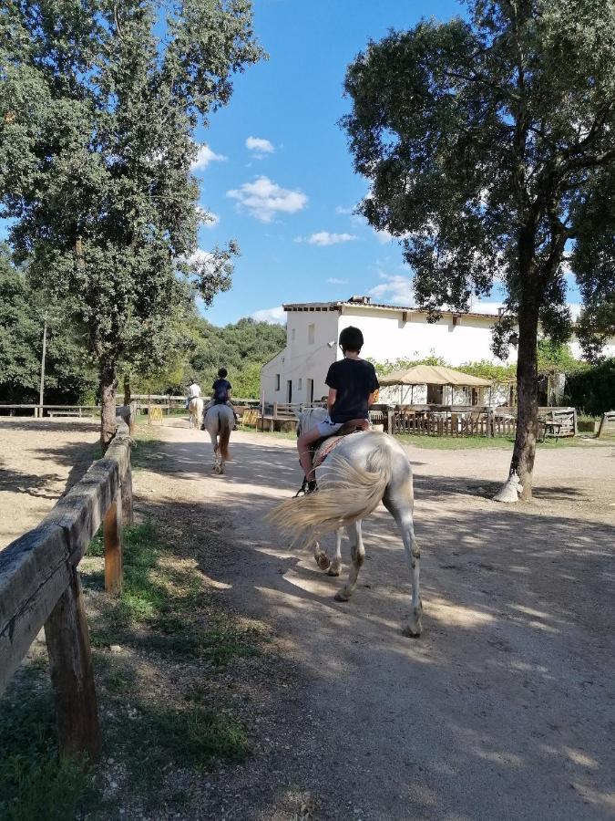 Casa Rural, Can Cirera Seriñá Exteriör bild